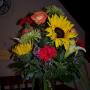 Eileen Johnson Photo 19