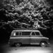 Van Little Photo 12