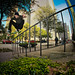 Ollie Roberson Photo 4