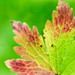 Katherine Lime Photo 6