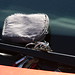 Angel Key Photo 13