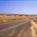 Ruthann Bush Photo 6