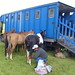 Thomas Riordan Photo 30