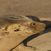 Donna Daniels Photo 9