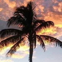 Diane Conley Photo 28
