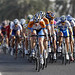 Will Wiggins Photo 19