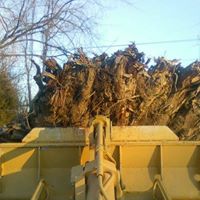 Mark Roseman Photo 20