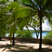 James Beach Photo 32