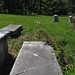 Nicholas Roger Photo 9