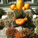 Sharon York Photo 14