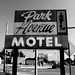 David Herrin Photo 20