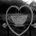 Elizabeth Coffee Photo 17