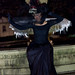 John Flaherty Photo 24