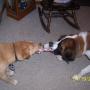 Carl Garrett Photo 36