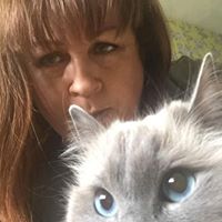 Ann Holiday Photo 21