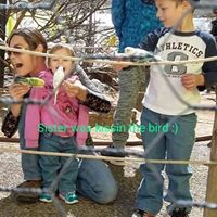 Jenifer Nichols Photo 12