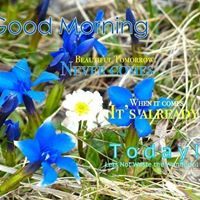 Claudette Miller Photo 28