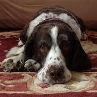 Paula Glynn Photo 8