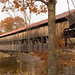 Ron Swift Photo 14