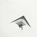 Steve Goad Photo 17