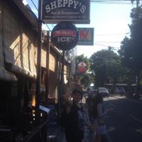 Bradley Sheppard Photo 4