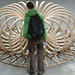 Ciaran Murphy Photo 3