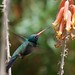 Debra Skinner Photo 14