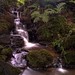 Jeffrey Long Photo 20