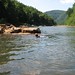 Gregory Mccarty Photo 9