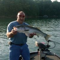 Troy Norton Photo 11