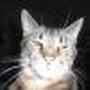 Barbara Wrenn Photo 6