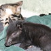 Wilbur Webster Photo 13