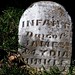 James Hinkle Photo 41