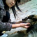 Anna Cho Photo 38