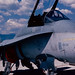 Douglas Peterson Photo 57