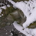 Lisa Bourgeois Photo 22