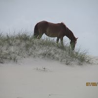 Terry Roff Photo 3