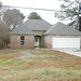 Allen Cohn Photo 18