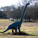 Rex Mckinney Photo 4