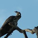 Aakash Gupta Photo 5