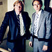 Shawn Whitaker Photo 34