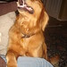 Nancy Buck Photo 29