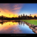 Artie Green Photo 20