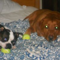 Debbie Castleberry Photo 13