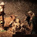 Mary Paglia Photo 9