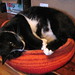 Kitty Sherman Photo 10
