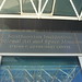 Steven Foreman Photo 12