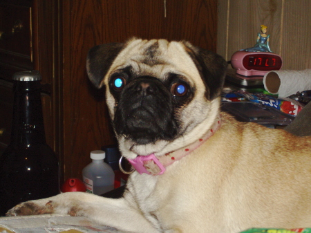 Betty Reed Photo 12