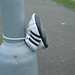 Aaron Wester Photo 18
