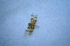 Debbie Burris Photo 21
